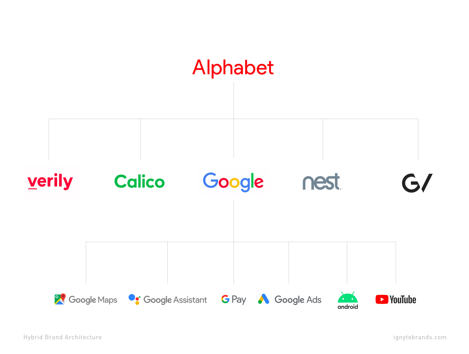 A diagram of the Alphabet brand portfolio as an example of a hybrid brand architecture
