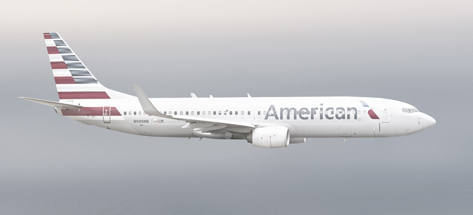 An American Airlines airplane in flight illustrates the geographic brand name type